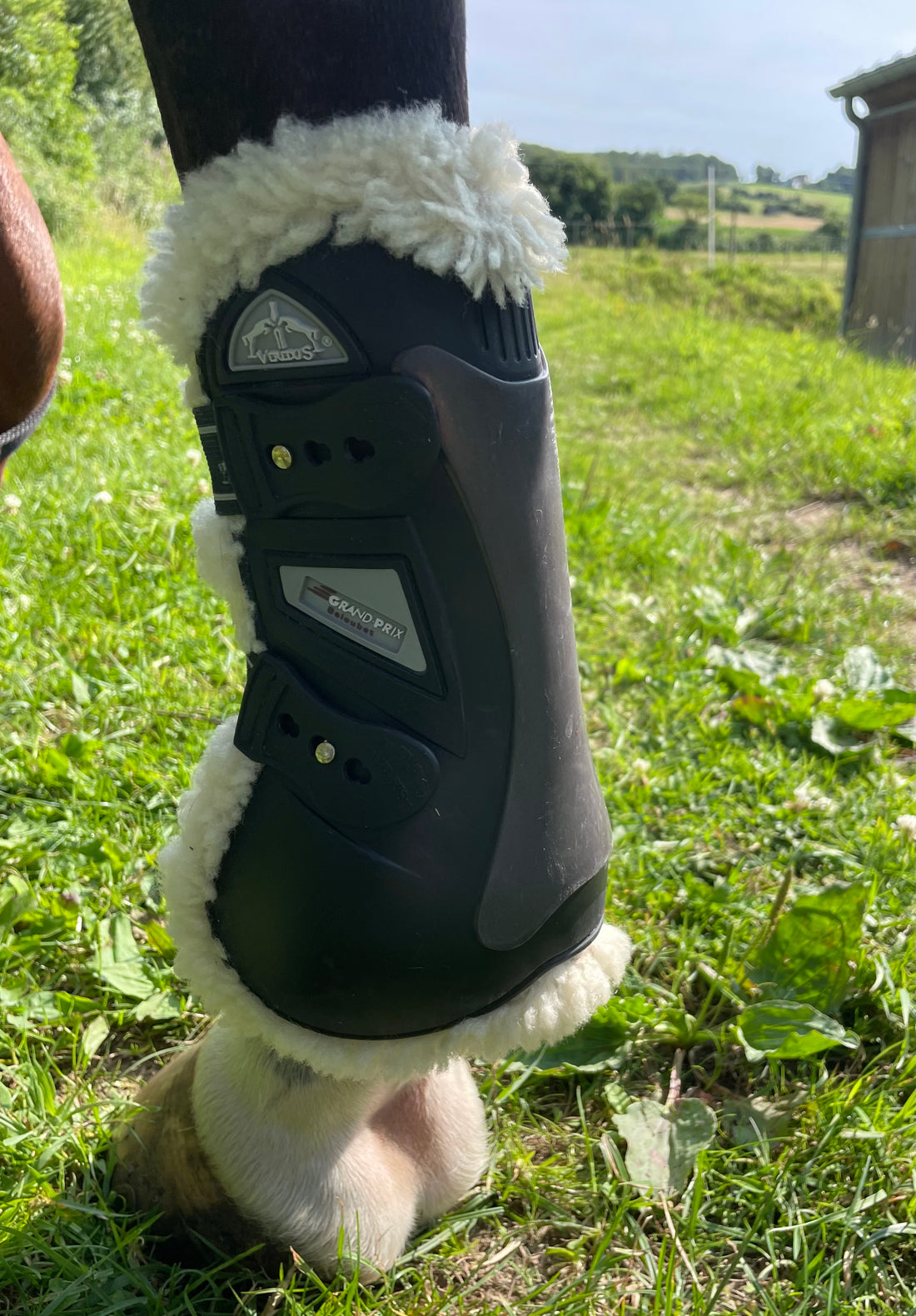 GUETRES VEREDUS MOUTON GRAND PRIX