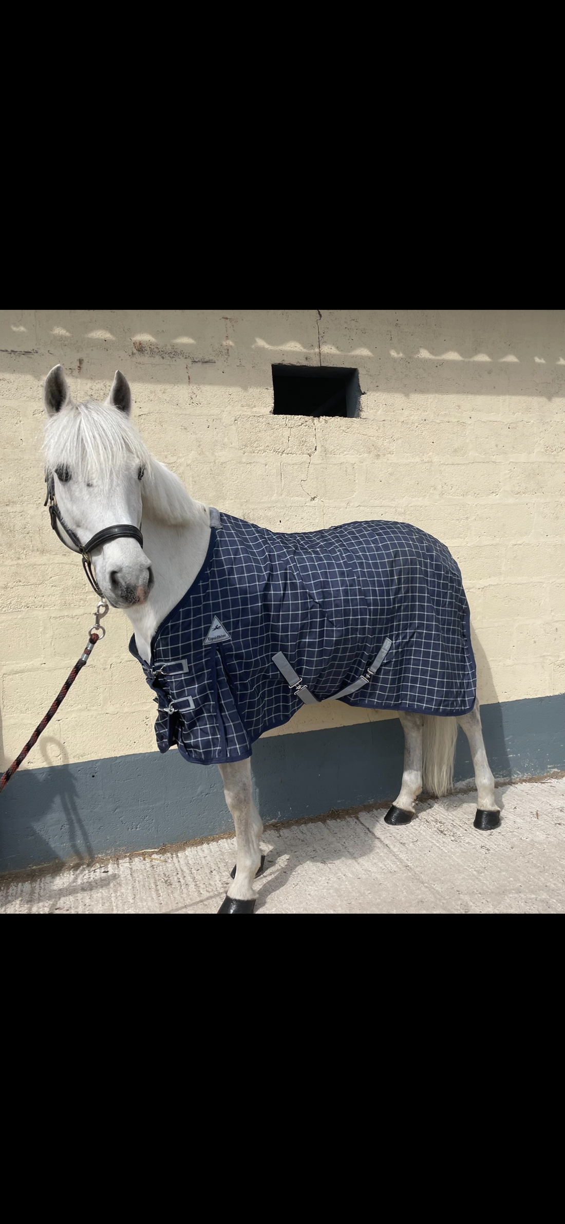 CHEMISE EQUITHEME 1200D