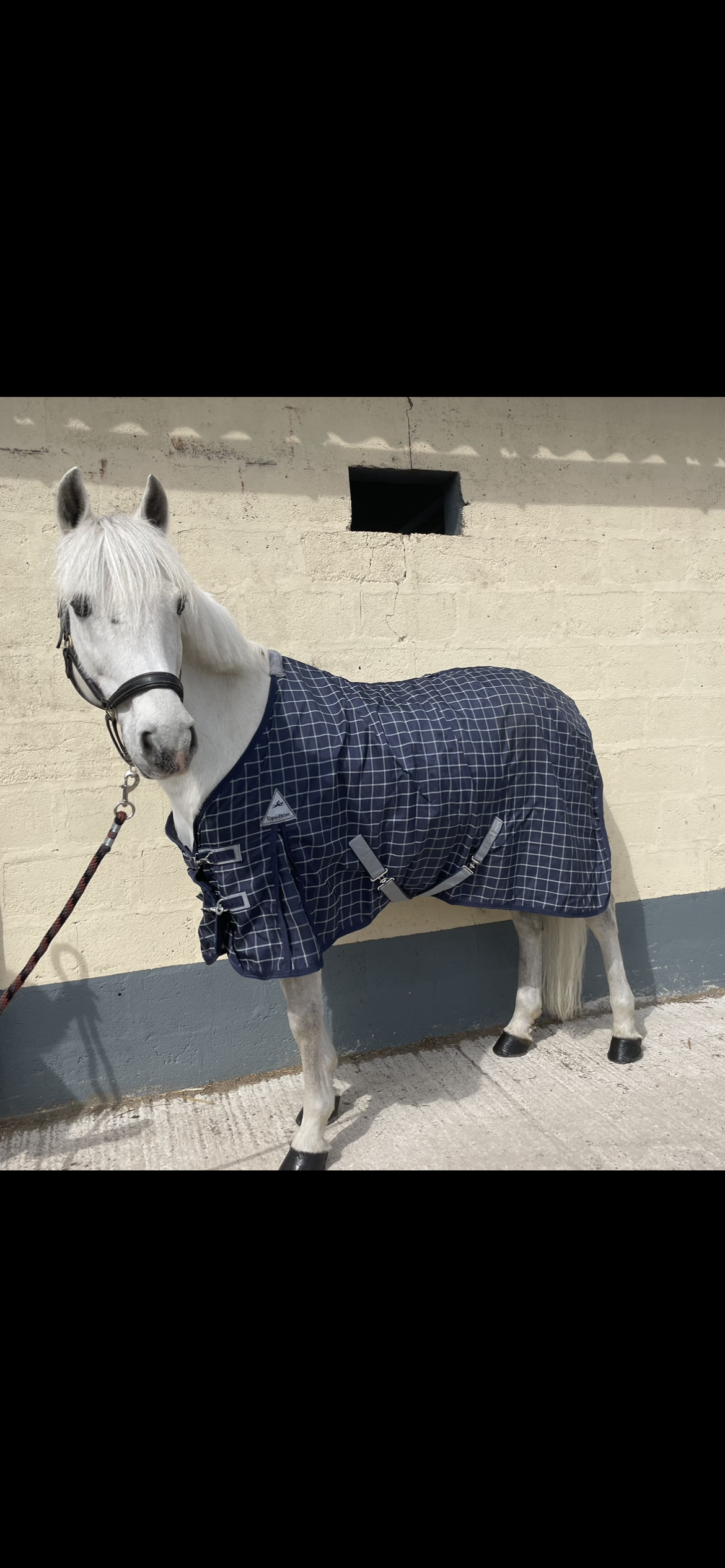 CHEMISE EQUITHEME 1200D