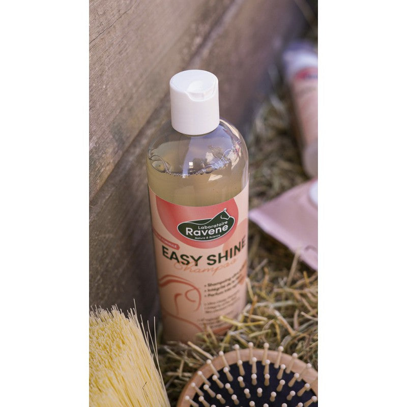 EASY SHINE SHAMPOO RAVENE
